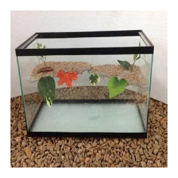 Terrario 30cm decorado