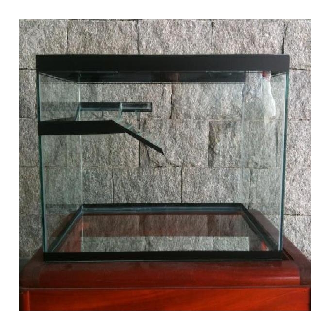 Terrario s/ decoracao 80x50x40 cm