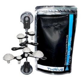 Thrive frag plug tree