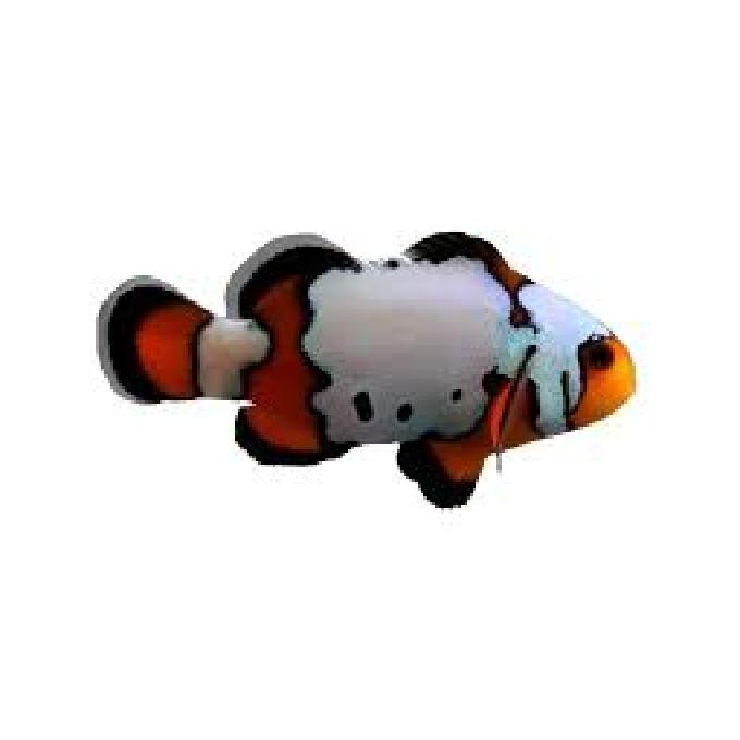 PALHACO BLACK ICE PQ