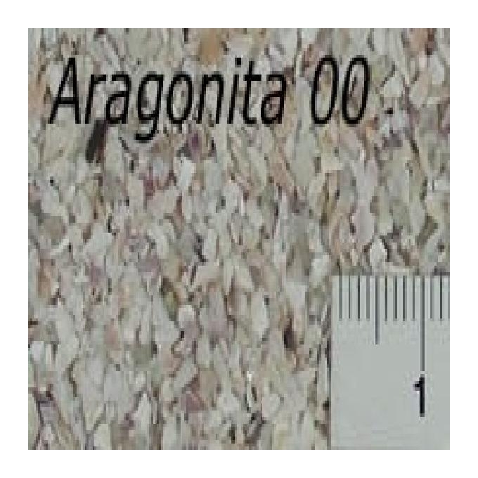 Cascalho Aragonita fg Nr 0 780 gr