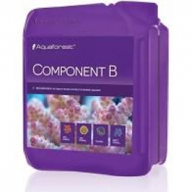 AQUAFOREST COMPONENT B 2L