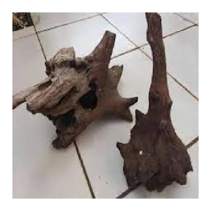 Tronco De Aroeira 01kg