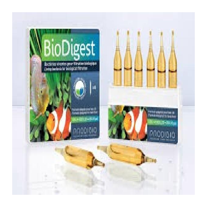 Prodibio biodigest 12 ampolas