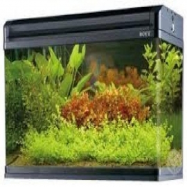 Aquario boyu ea 120 e