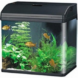 Aquario boyu ec 400 33l