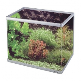 Aquario boyu mb-60 72 lt