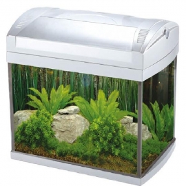 Aquario boyu zj-601 60 l