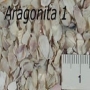 Cascalho Aragonita fg Nr 1 780 gr