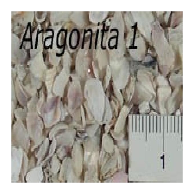 Cascalho Aragonita fg Nr 1 780 gr