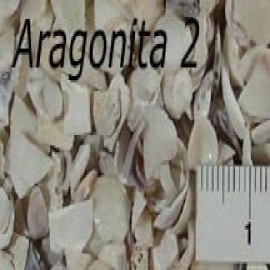 Cascalho aragonita n2 25 kg