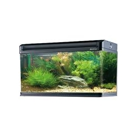 AQUARIO BOYU EA 60 E