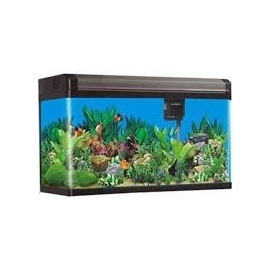 AQUARIO BOYU EA-60