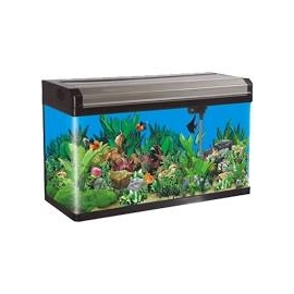 AQUARIO BOYU EA-80 E LED