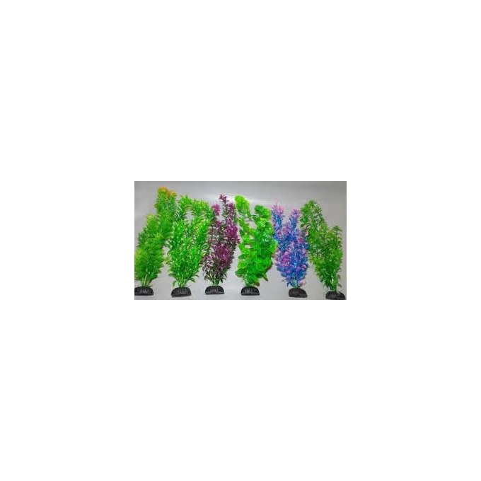 Planta Art Soma 10cm Red