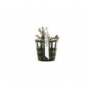 Planta N Rotala Mexicana Tk