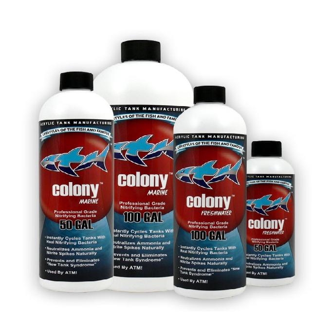 Colony freshwater 236 ml