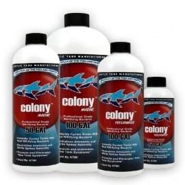 Colony freshwater 473 ml