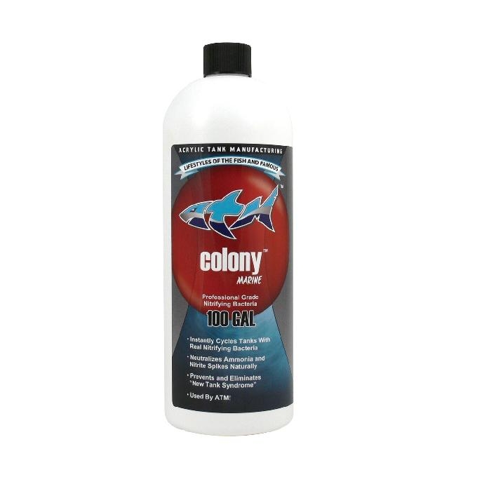 Colony marine 236ml