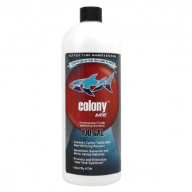 Colony marine 3,79l