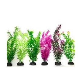 PLANTA ART WFISH c/06und 7,5cm