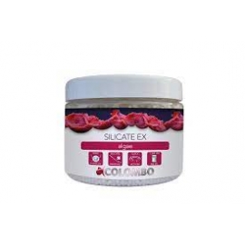 SILICATE EX 500ML