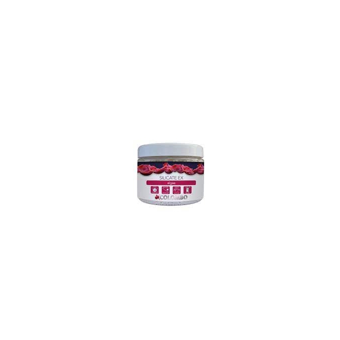 SILICATE EX 500ML