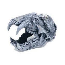 enfeite cabeca de onca