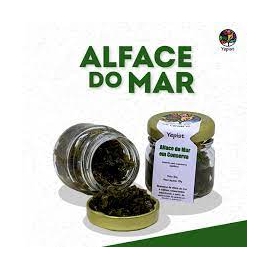 alface do mar 20gr yepist