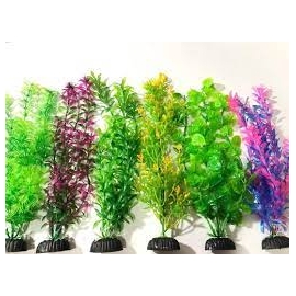 planta art 10cm pl0301