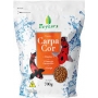 RACAO POYTARA CARPA COR 700GR