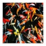 carpa koi 12cm