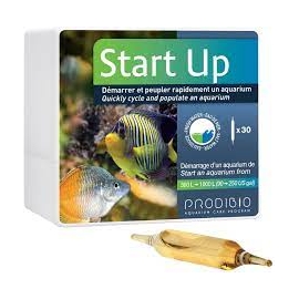 PRODIBIO BIODIGEST START UP AMPOLA UND