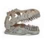 enfeite cabeca de dinossauro