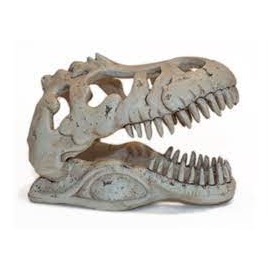 enfeite cabeca de dinossauro