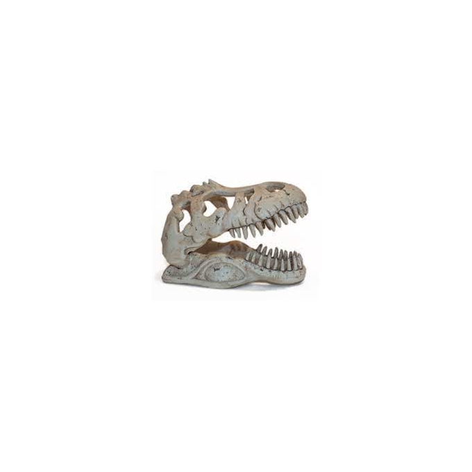 enfeite cabeca de dinossauro