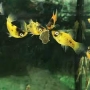 plati abelha
