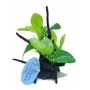 planta art wfish wfp-006 c/tronco resina