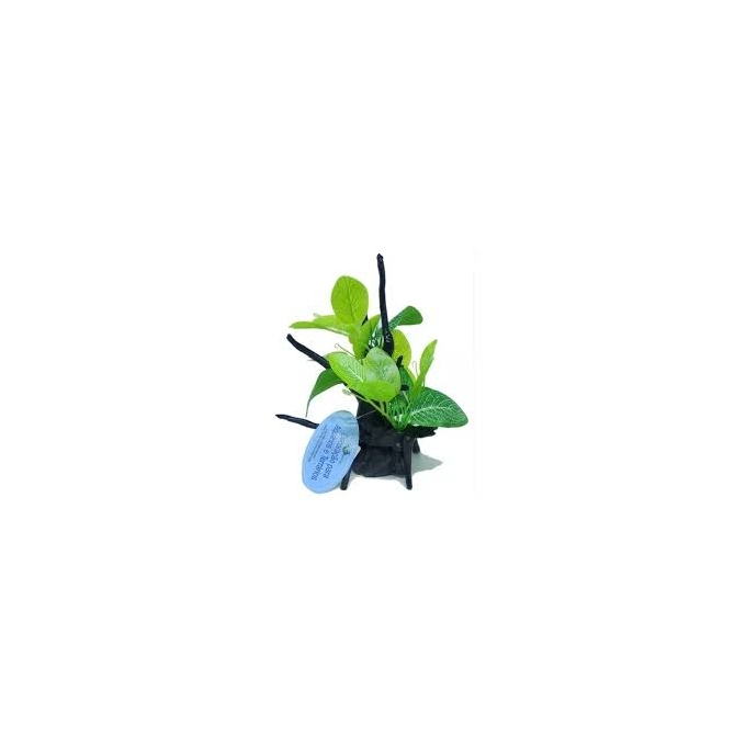 planta art wfish wfp-006 c/tronco resina