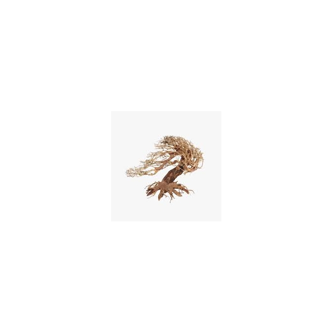 ENFEITE BONSAI PLANTPRO WAVE