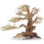 ENFEITE BONSAI PLANTPRO PINE