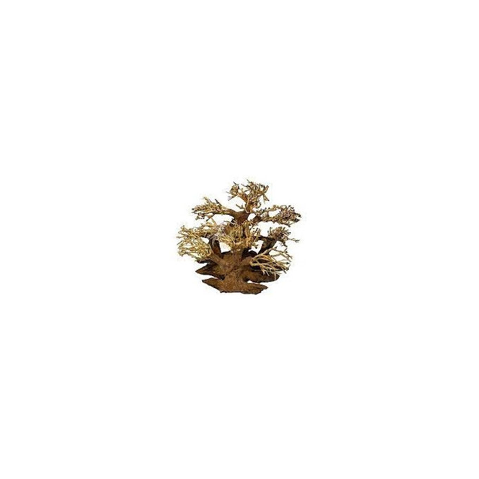 ENFEITE BONSAI PLANTPRO PLANTED
