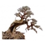 ENFEITE BONSAI PLANTPRO STORK