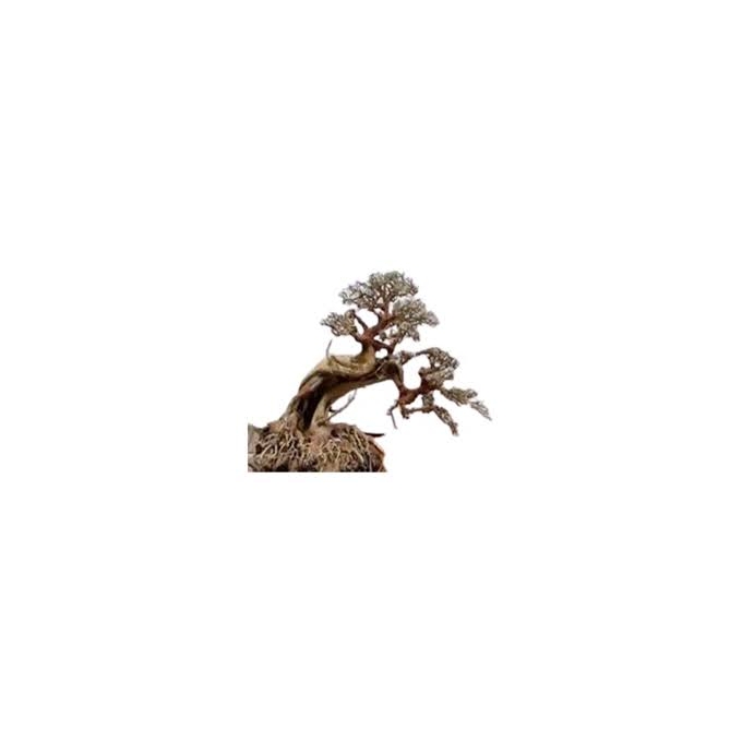 ENFEITE BONSAI PLANTPRO STORK