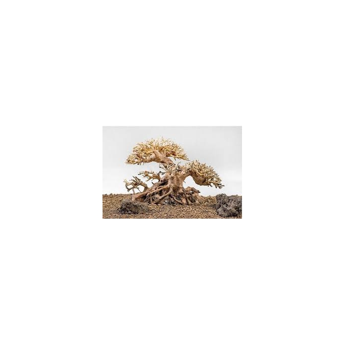ENFEITE BONSAI PLANTPRO FAIRY