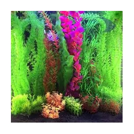 planta art boyu ap12 30cm