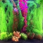 planta art boyu ap16 40cm