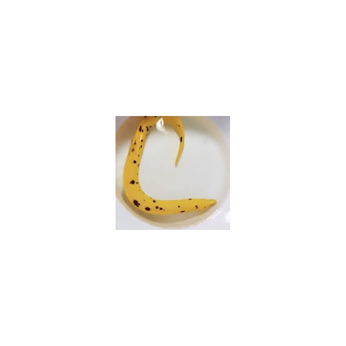 moreia banana