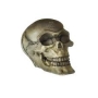 enfeite caveira nomoy pet 8x11x9cm ns-102