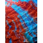 CORAL SCOLYMIA DE MANTO RAIMBOW RED GR